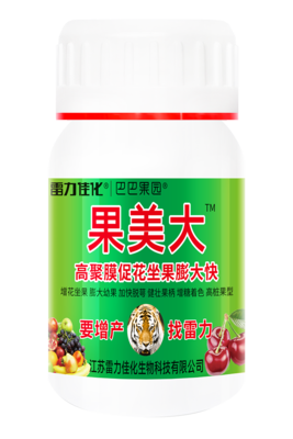 果美大