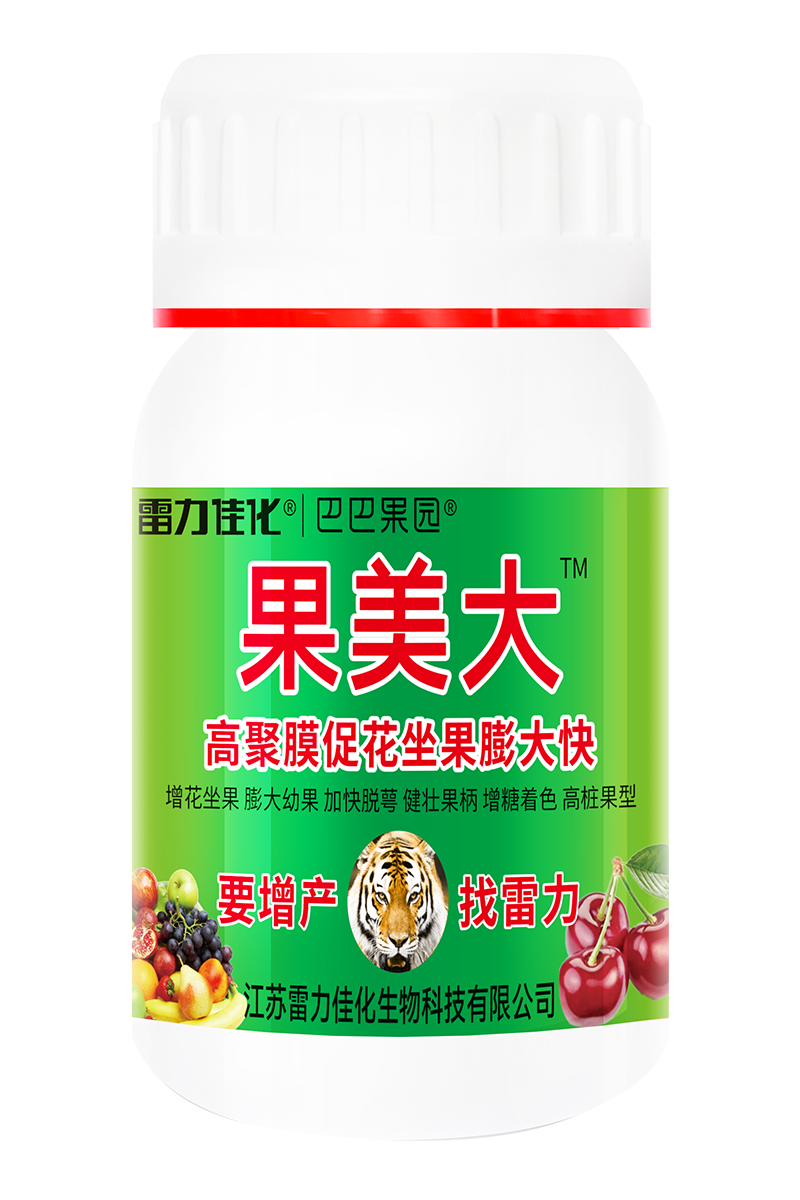 果美大